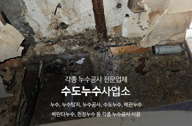 20250211151715_XSEmbHJR.jpg_carousel_용인누수탐지_수도누수사업소,누수,누수탐지,누수공사,수도누수,배관누수,용인,경기광주,성남,분당,송파,안양
