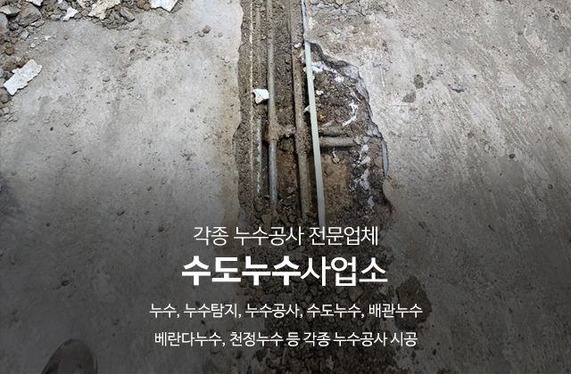 20250211151715_nNxkT3I7.jpg_carousel_용인누수탐지_수도누수사업소,누수,누수탐지,누수공사,수도누수,배관누수,용인,경기광주,성남,분당,송파,안양