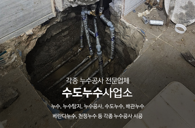 20250211151715_trxGIAFz.jpg_carousel_용인누수탐지_수도누수사업소,누수,누수탐지,누수공사,수도누수,배관누수,용인,경기광주,성남,분당,송파,안양